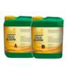 Ferro Osmosis Floracion A&B