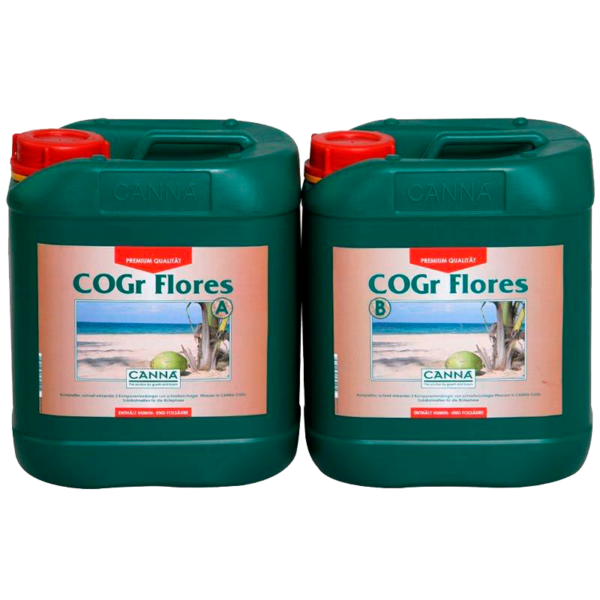 Cogr flores canna