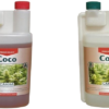 Coco Canna