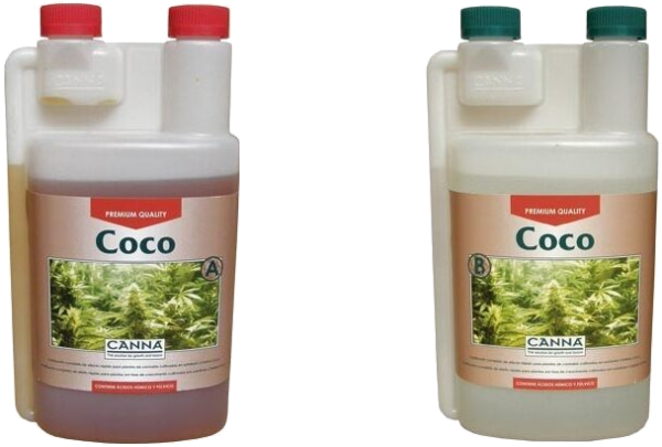 Coco Canna