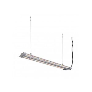 led 40 w hortimol 4000k