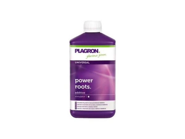 Plagron power root