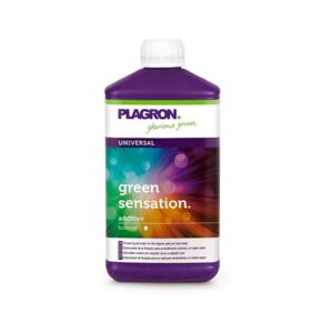 plagron green sensation