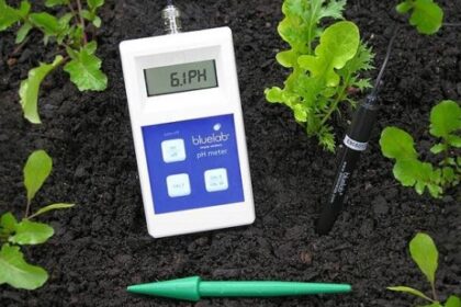 La importancia del pH en suelo y agua para los cultivos