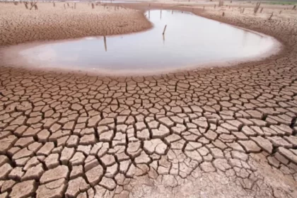 Ahorro de agua y riego