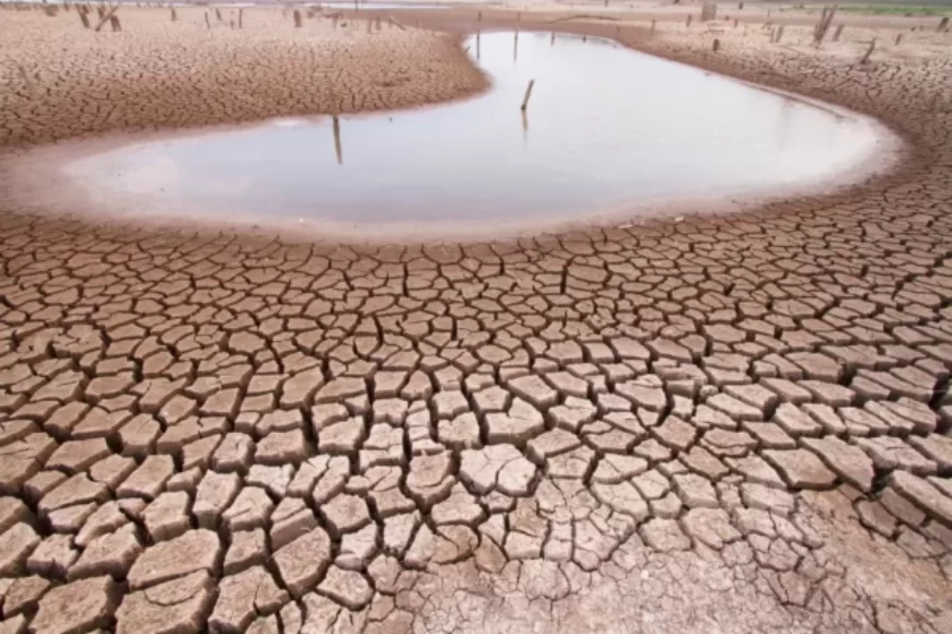 Ahorro de agua y riego