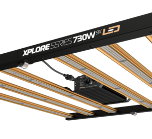 Dimlux LED Xplore Series 730w
